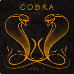 Finnish heavy metal group COBRA 1981 has released album 'Vol. 1'