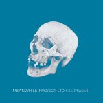 German alt-rockers MEANWHILE PROJECT LTD will release album 'Sir Mandrill'
